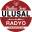 Ulusal Radyo logo